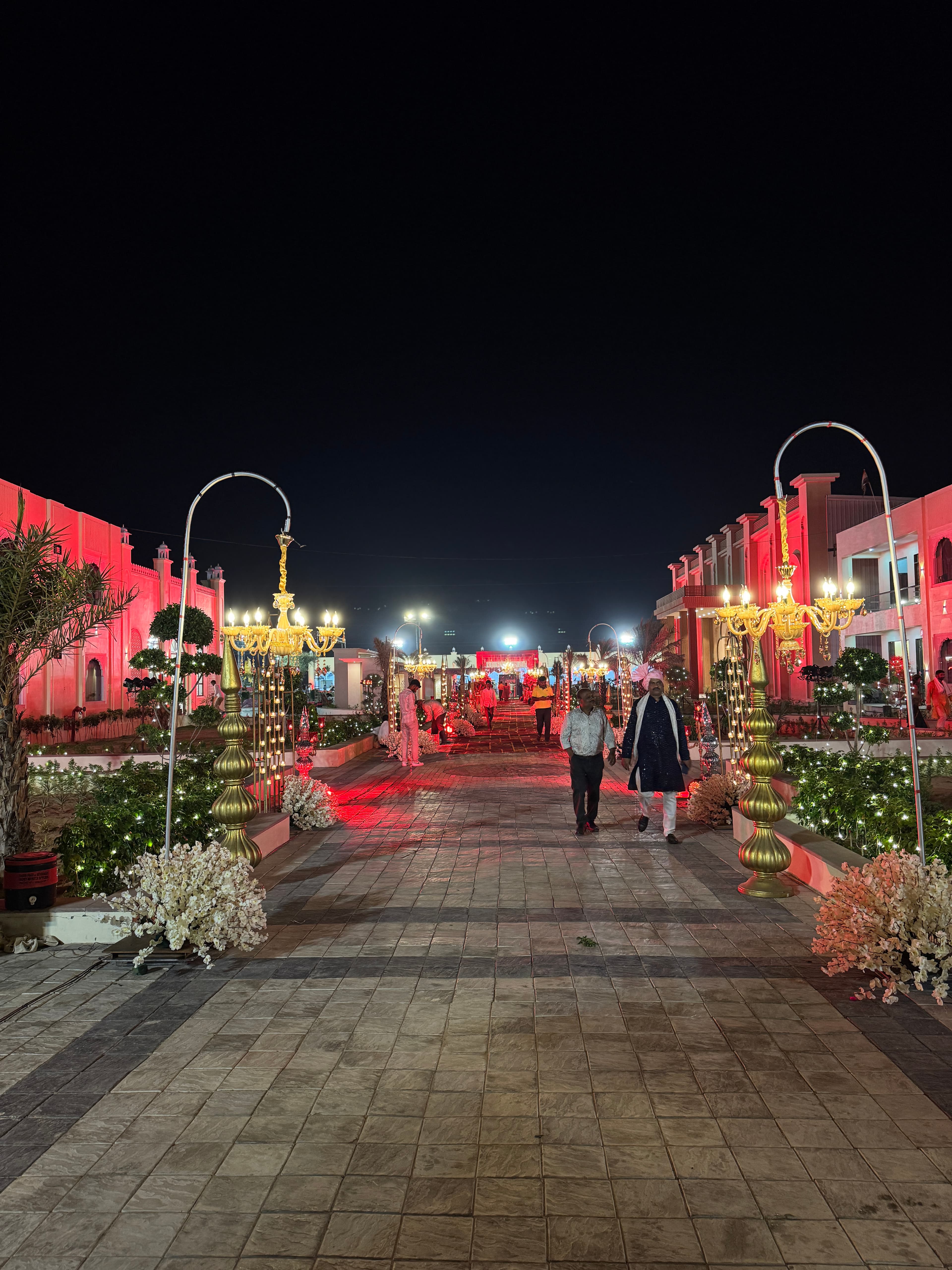 Grand Wedding Lawn Royal Walkway & Illumination